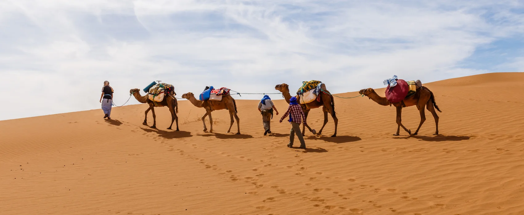 Desert Safari with quad bike